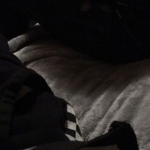 Meet your Posher, Dakota